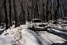 15-Demon on McFadyen Track